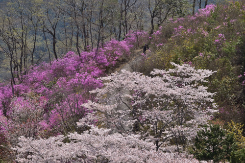 臨時：周匝D№7